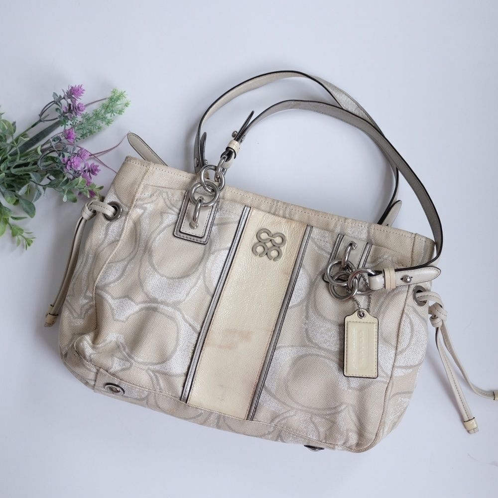 Coach Colette Canvas Signature Stripe Carryall